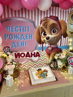 Рожден ден за деца до 3 години в парти клуб Елмо