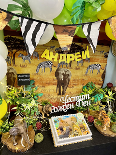 Сафари рожден ден в Детски парти клуб Елмо - украса и игри