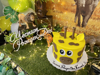 Сафари рожден ден - деца, аниматор и тематична украса